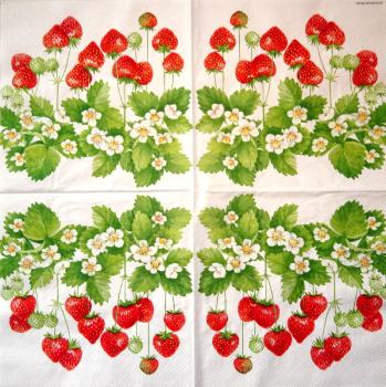080 Rosen - 3-lagig